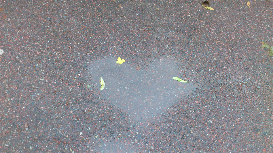 Leva - Kärlek en regnig sommar i Borlänge - ctl00_cph1_image
