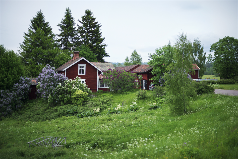 Bo - En stuga i Gagnefs junigrönska - ctl00_cph1_image