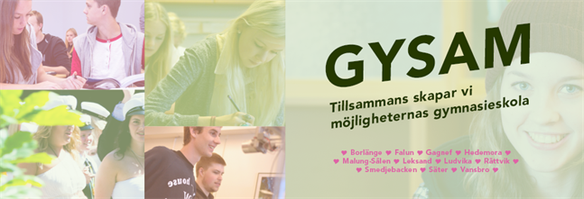 Gysam Aktiviteter