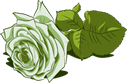 ros.png
