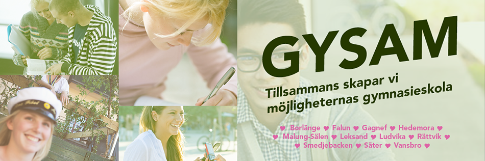 För skolpersonal och press - Aktiviteter - ctl00_cph1_DynamicControlContainer1_po_148_dc148_pg7109_actImg2
